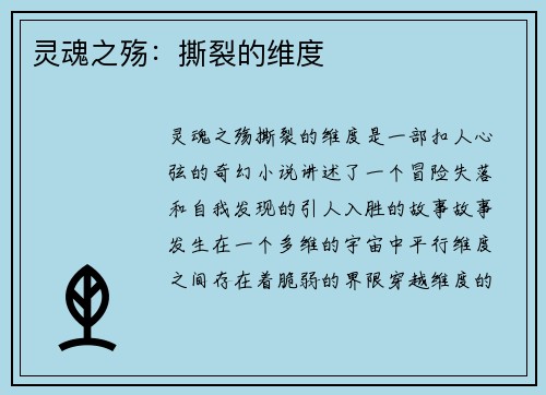 灵魂之殇：撕裂的维度